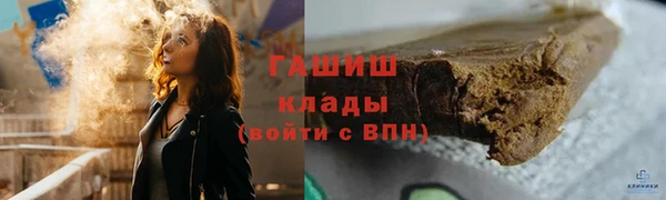 гашик Богданович